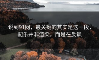 说到91网，最关键的其实是这一段，配乐并非渲染，而是在反讽