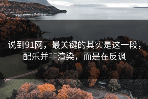 说到91网，最关键的其实是这一段，配乐并非渲染，而是在反讽