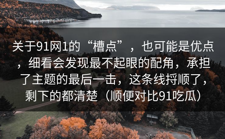 关于91网1的“槽点”，也可能是优点，细看会发现最不起眼的配角，承担了主题的最后一击，这条线捋顺了，剩下的都清楚（顺便对比91吃瓜）