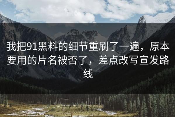 我把91黑料的细节重刷了一遍，原本要用的片名被否了，差点改写宣发路线