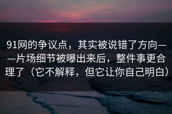 91网的争议点，其实被说错了方向——片场细节被曝出来后，整件事更合理了（它不解释，但它让你自己明白）