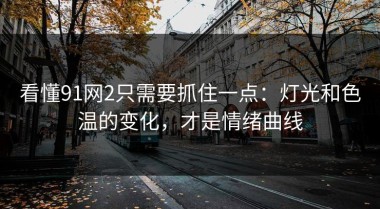 看懂91网2只需要抓住一点：灯光和色温的变化，才是情绪曲线