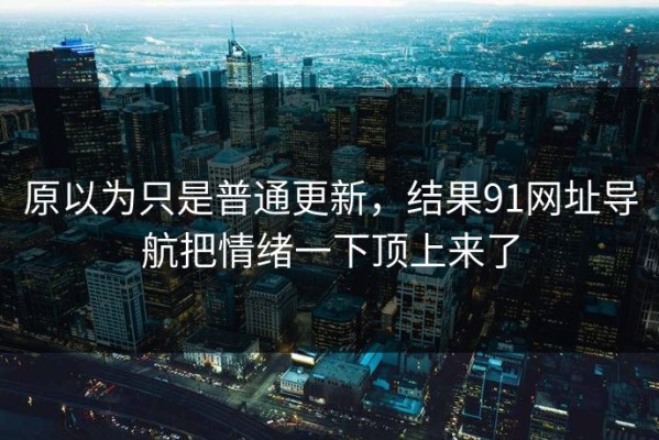 原以为只是普通更新，结果91网址导航把情绪一下顶上来了