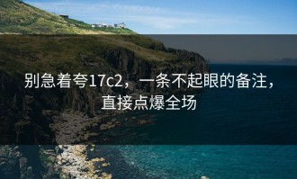 别急着夸17c2，一条不起眼的备注，直接点爆全场