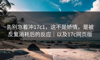 先别急着冲17c1，这不是矫情，是被反复消耗后的反应｜以及17c网页版