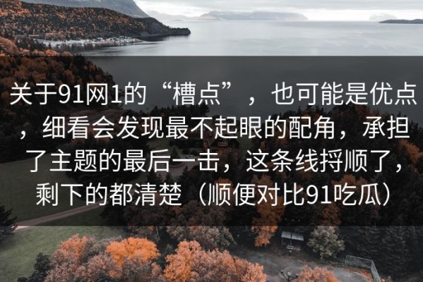 关于91网1的“槽点”，也可能是优点，细看会发现最不起眼的配角，承担了主题的最后一击，这条线捋顺了，剩下的都清楚（顺便对比91吃瓜）