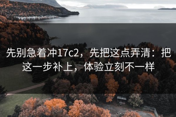 先别急着冲17c2，先把这点弄清：把这一步补上，体验立刻不一样