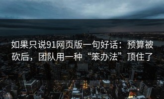 如果只说91网页版一句好话：预算被砍后，团队用一种“笨办法”顶住了