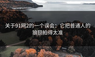 关于91网2的一个误会：它把普通人的狼狈拍得太准