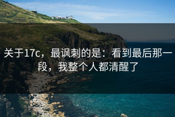 关于17c，最讽刺的是：看到最后那一段，我整个人都清醒了