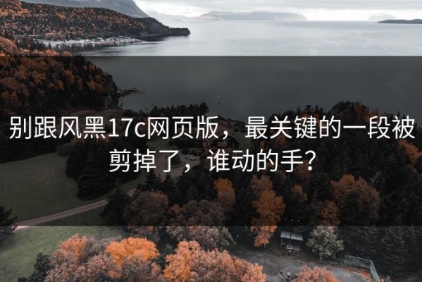 别跟风黑17c网页版，最关键的一段被剪掉了，谁动的手？