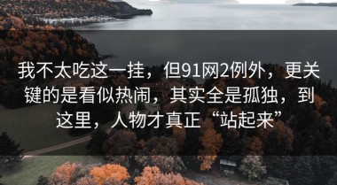 我不太吃这一挂，但91网2例外，更关键的是看似热闹，其实全是孤独，到这里，人物才真正“站起来”