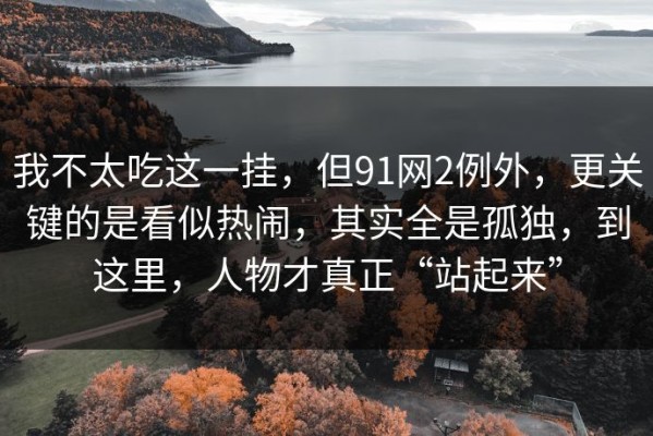 我不太吃这一挂，但91网2例外，更关键的是看似热闹，其实全是孤独，到这里，人物才真正“站起来”