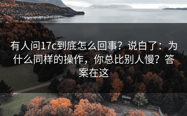 有人问17c到底怎么回事？说白了：为什么同样的操作，你总比别人慢？答案在这