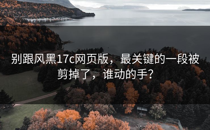 别跟风黑17c网页版，最关键的一段被剪掉了，谁动的手？