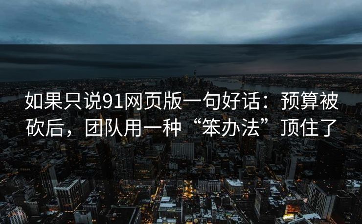 如果只说91网页版一句好话：预算被砍后，团队用一种“笨办法”顶住了