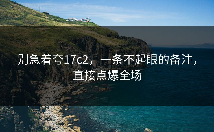 别急着夸17c2，一条不起眼的备注，直接点爆全场