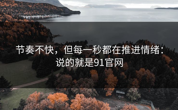 节奏不快，但每一秒都在推进情绪：说的就是91官网