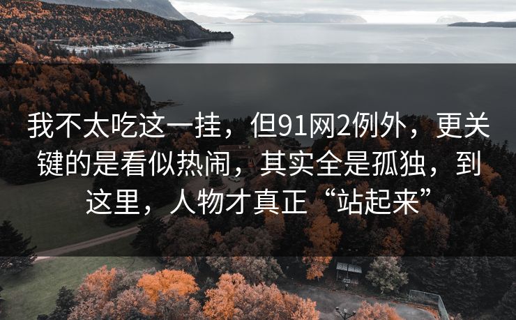 我不太吃这一挂,但91网2例外,更关键的是看似热闹,其实全是孤独,到这里,人物才真正“站起来” 我不太吃这一挂,但91网2例外,更关键的是看似热闹,其实全是孤独,到这里,人物才真正“站起来”