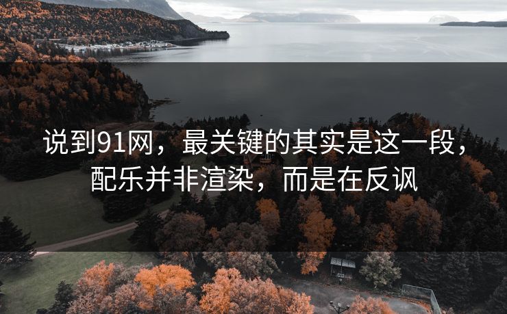 说到91网,最关键的其实是这一段,配乐并非渲染,而是在反讽 说到91网,最关键的其实是这一段,配乐并非渲染,而是在反讽